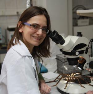 Dr Agnieszka Babczyńska bada biologię i fizjologię pająków