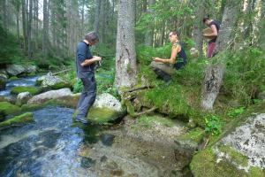 Zespół FLORIST-a podczas badań dendrogeomorfologicznych nad Rybim Potokiem w Tatrach
Wysokich