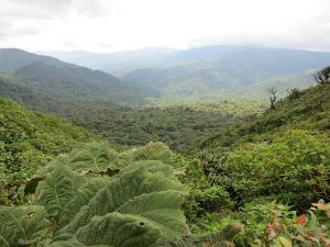 Przyroda odgrywa ogromną rolę w zapewnieniu szczęścia w naszym życiu, czego przykładem jest zarówno Kostaryka, jak i Bhutan