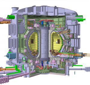 Schemat tokamaku ITER (strona internetowa ITER Organization)