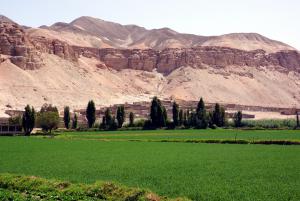 Wyraźny kontrast pomiędzy zieloną doliną zasobną w wodę a szarymi, pozbawionymi roślinności górami w rejonie Arequipy
