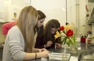 Laboratoria „Jak wykorzystać fluorescencję do badań komórek roślinnych” w Katedrze Anatomii
i Cytologii Roślin