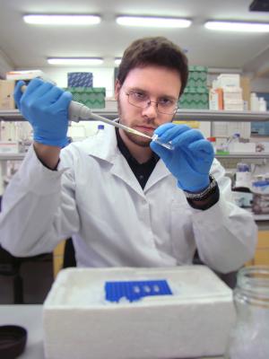 Mgr Marek Marzec przygotowuje próbki do analizy obecności zmutowanego allelu