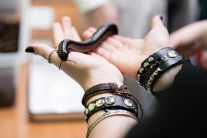 Noc Biologów była okazją do poznania ciekawych i rzadkich
przedstawicieli fauny i flory