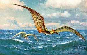 Pteranodon na obrazie Heinricha Hardera (1916)