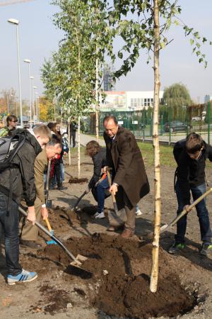 W sadzeniu brzóz dr. Damianowi Absalonowi, prodziekanowi
Wydziału Nauk o Ziemi, pomagali uczniowie biorący
udział w akcji