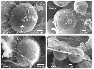 Sferyczne cząstki krzemionki pokryte płatkami tlenku grafenu