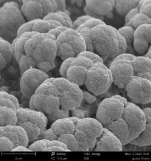 Cząstki pyłu z opon uzyskane w laboratorium, obserwowane
w mikroskopie skaningowym Phenom XL