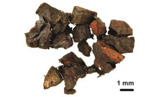 Drobinki odnalezionego meteorytu, którego wiek określono na ok. 65 milionów lat