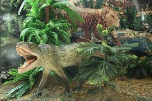 Wystawa „W świecie śląskich pradinozaurów”