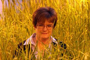 Prof. Iwona Szarejko, kierownik Katedry Genetyki,
pomiędzy regałami z uprawą jęczmienia w szklarni na dachu
Wydziału Biologii i Ochrony Środowiska przy ul. Jagiellońskiej