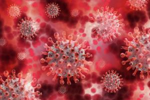 Zdecydowana większość wirusów nie jest chorobotwórcza
dla ludzi, a odgrywają ważną rolę w funkcjonowaniu planety
i naszego ciała
